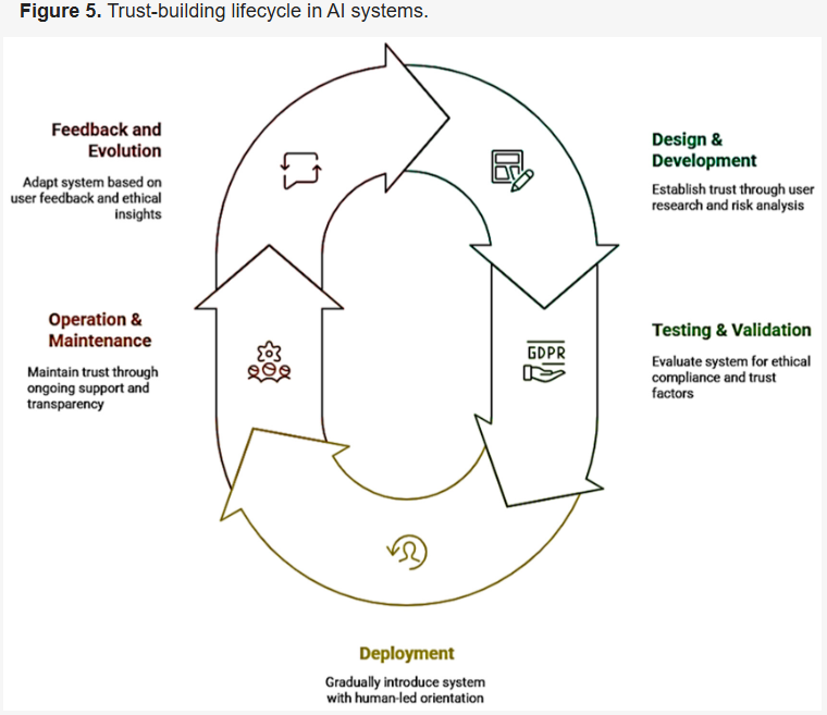 Trust-building lifecycle in AI systems.