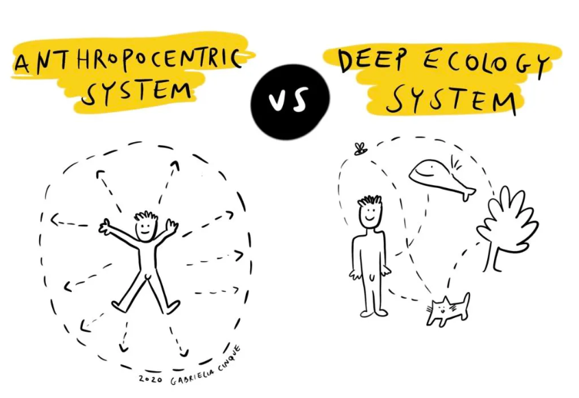  Deep Ecology - اکولوژی عمیق - طراحی زندگی‌محور