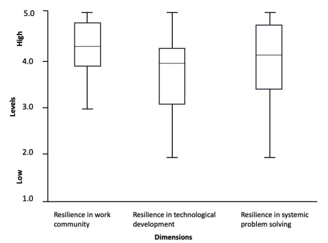 The dimensions and levels of resilience according to the design students’ views on resilience